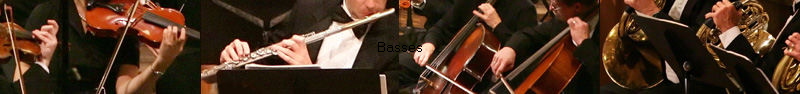 Basses